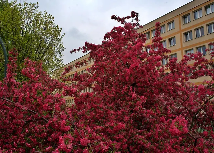 Appartamento Szucha 27 - Royal Lazienki Flat