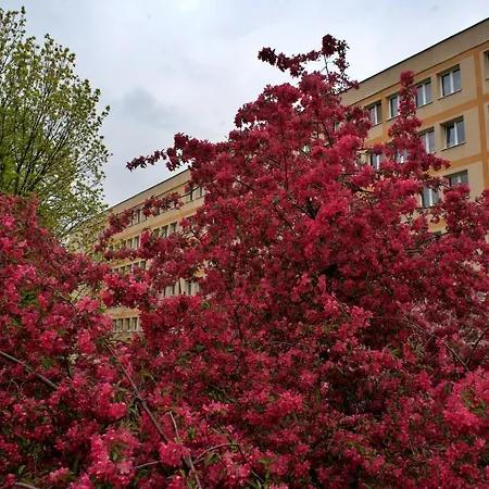 Apartament Szucha 27 - Royal łazienki Flat