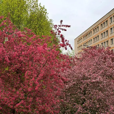 Szucha 27 - Royal Lazienki Flat Апартаменты *