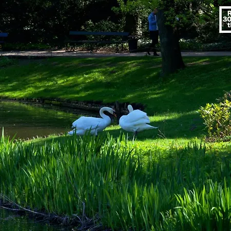 דירה Szucha 27 - Royal Lazienki Flat *