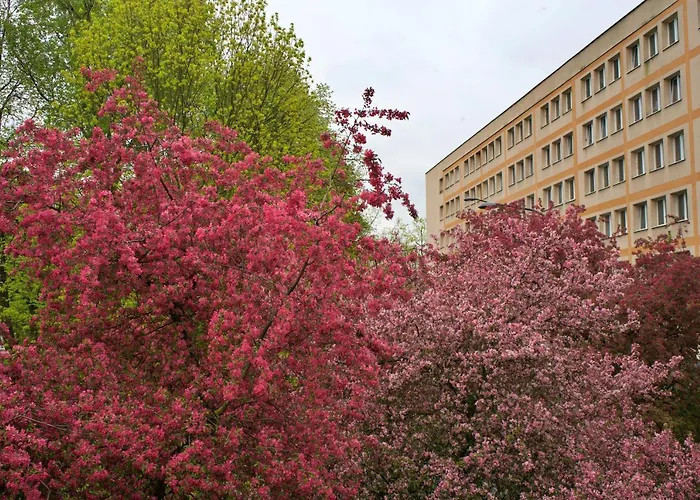 Szucha 27 - Royal łazienki Flat Apartament *